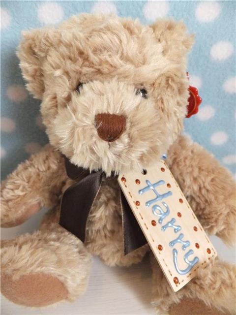 Personalised Teddy Bear - Harry