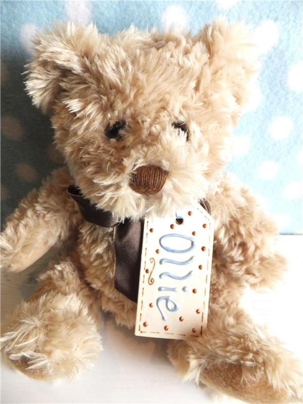 Personalised Teddy Bear - Ollie